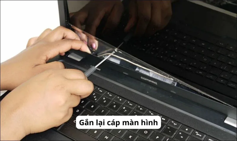 cach-sua-loi-cap-man-hinh-laptop-bi-hong-djam-bao-hieu-qua