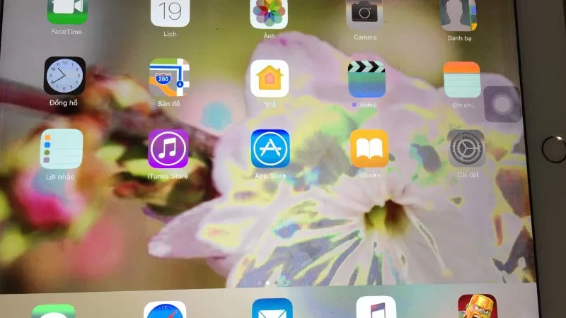 man-hinh-ipad-bi-loi-mau-nguyen-nhan-la-gi