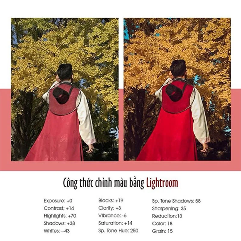 top-10-cong-thuc-chinh-mau-bang-lightroom-djep-nhat-h6