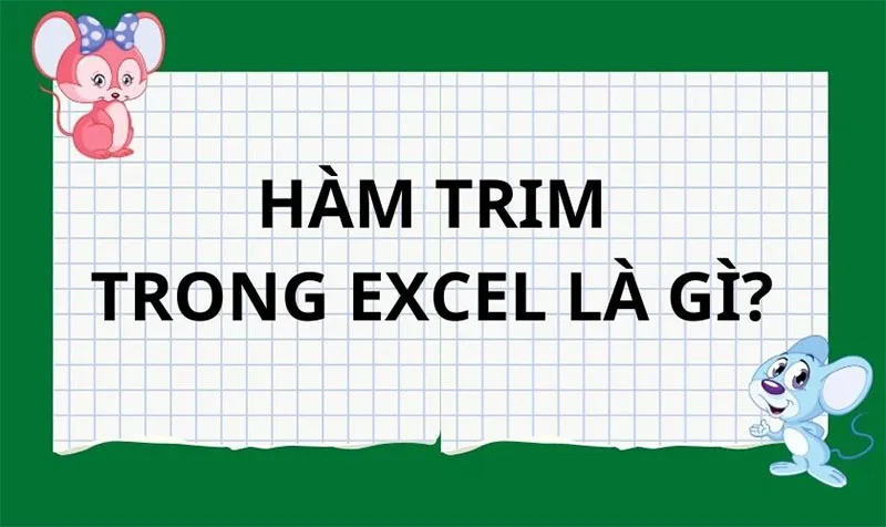 khai-niem-ve-ham-trim-trong-excel-la-gi