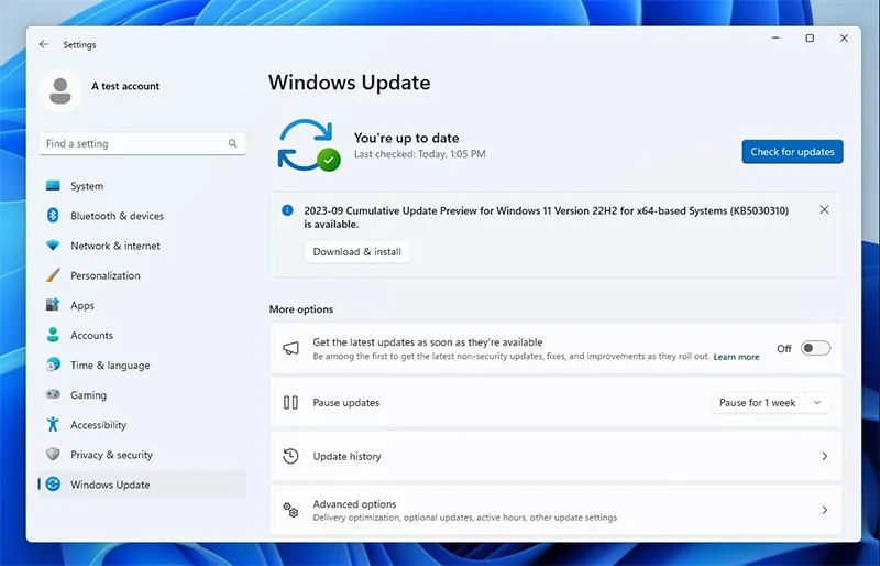 cach-cap-nhat-len-windows-11-23h2