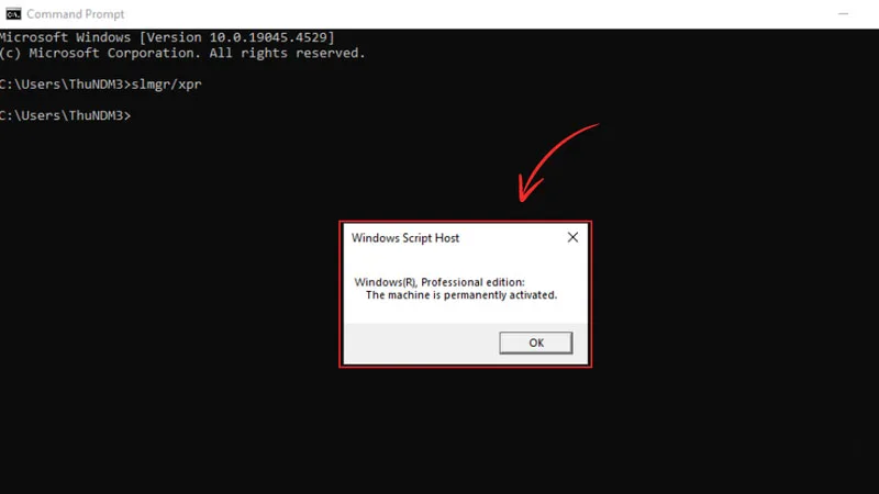 huong-dan-kiem-tra-windows-ban-quyen-chi-voi-2-cach-djon-gian-h5