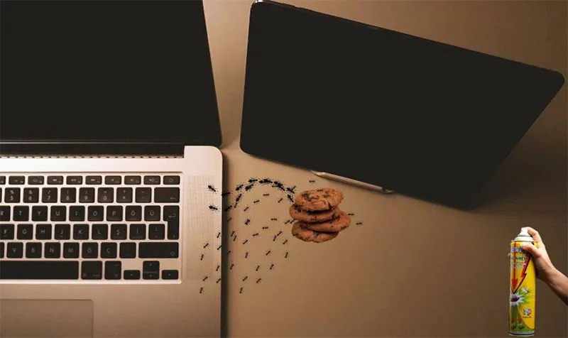 cach-5-cach-dung-hao-nuoc-djuoi-kien-chui-vao-laptop