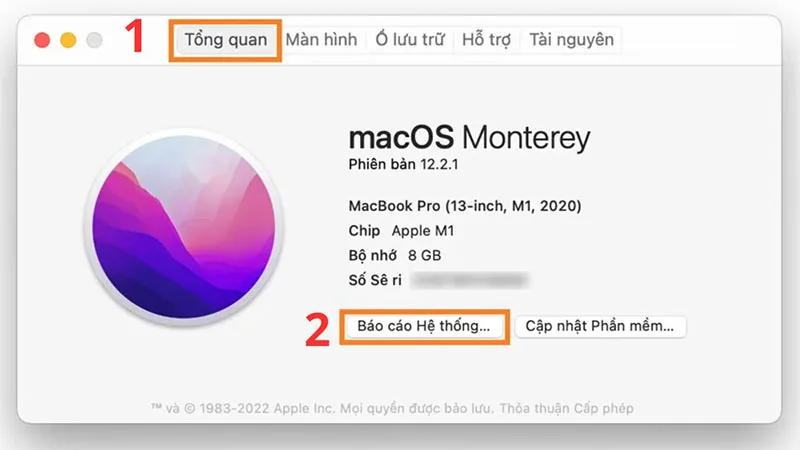 huong-dan-cach-kiem-tra-djo-chai-va-so-lan-sac-pin-macbook-djon-gian-h2