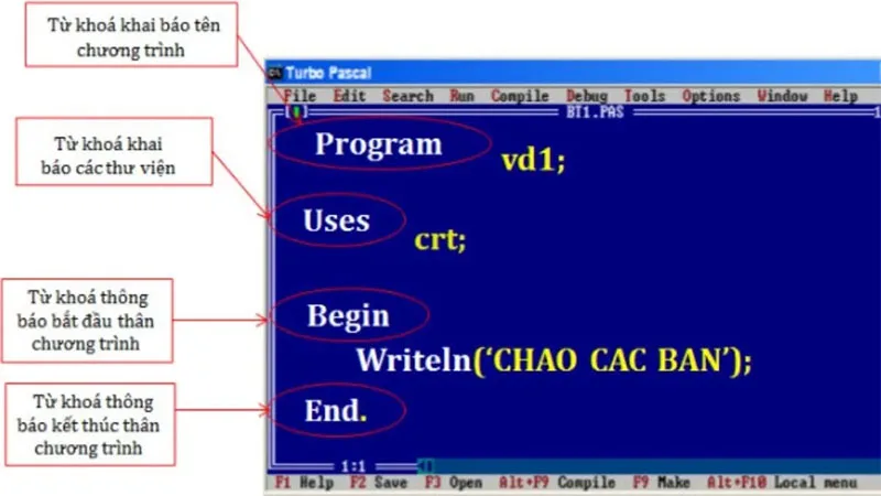 tong-hop-cac-phan-tu-co-trong-pascal-h2