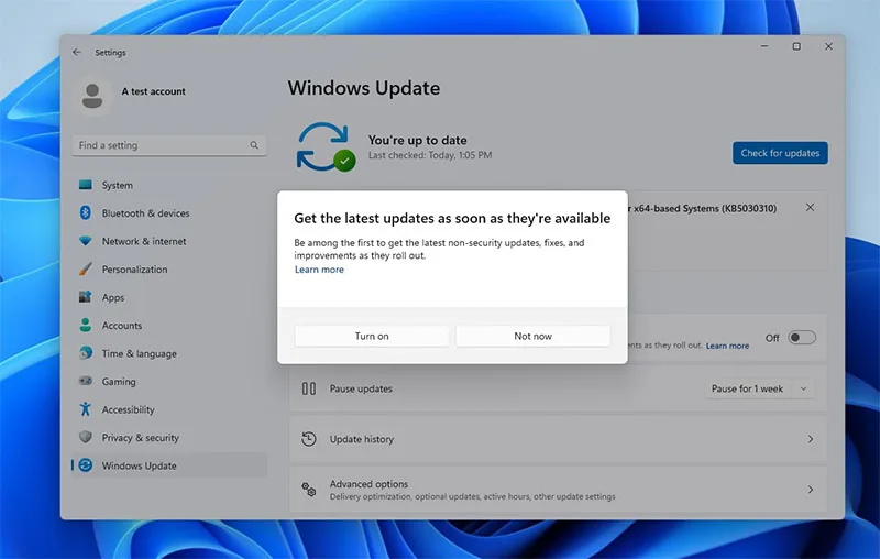 cach-cap-nhat-len-windows-11-23h2-h2