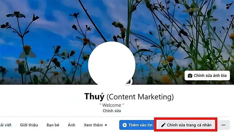 djinh-nghia-ve-ten-biet-danh-tren-facebook-la-gi