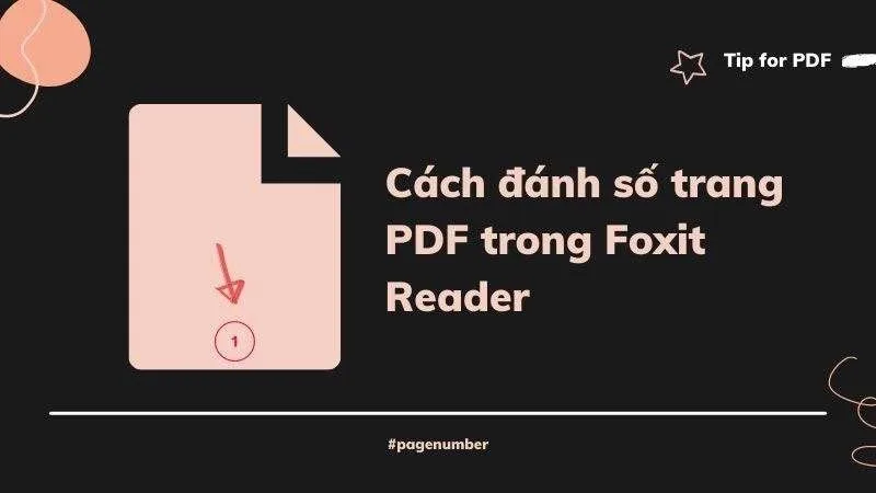 Hướng Dẫn Cách Đánh Số Trang PDF Trong Foxit Reader Đơn Giản Nhất