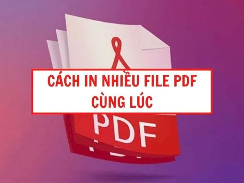 Cách In Nhiều File PDF Cùng Lúc Giúp Tiết Kiệm Thời Gian