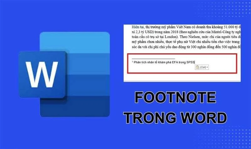 Hướng Dẫn Cách Tạo Footnote Trong Word Hữu Ích Cho Sinh Viên