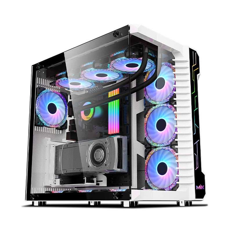Case