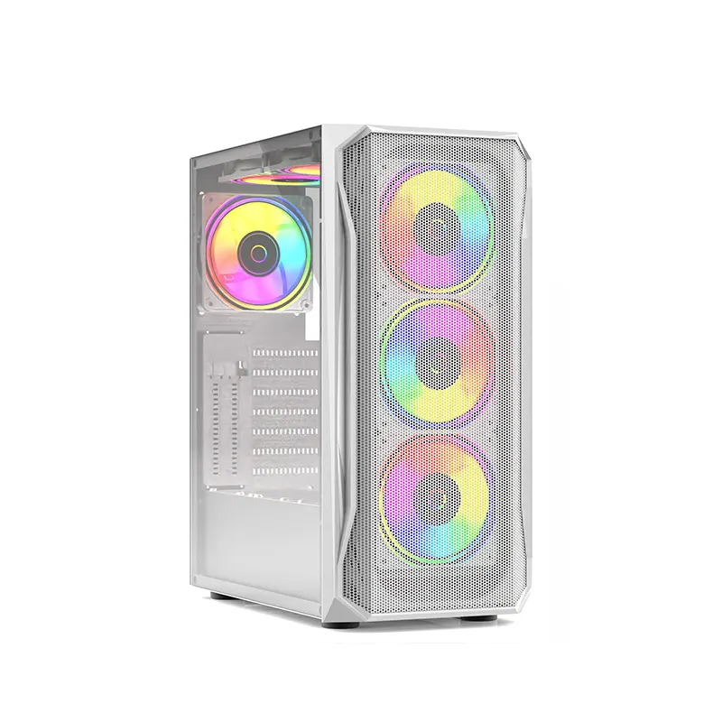 Case