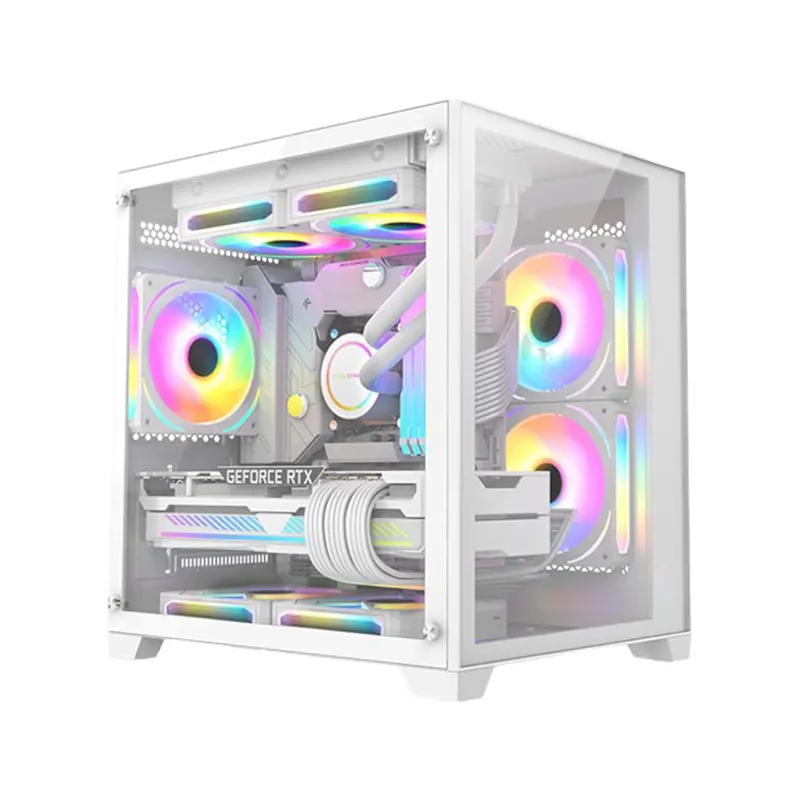 Case