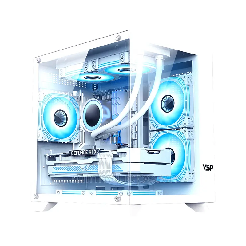 Case