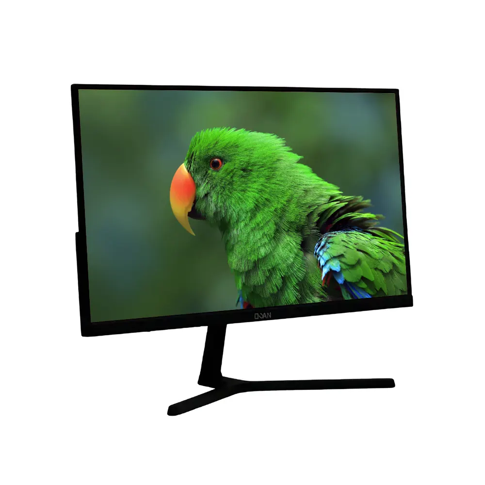 Màn hình DUAN DT-V2218S (22 inch, 100Hz, FHD, Freesync, Phẳng, Đen) 2