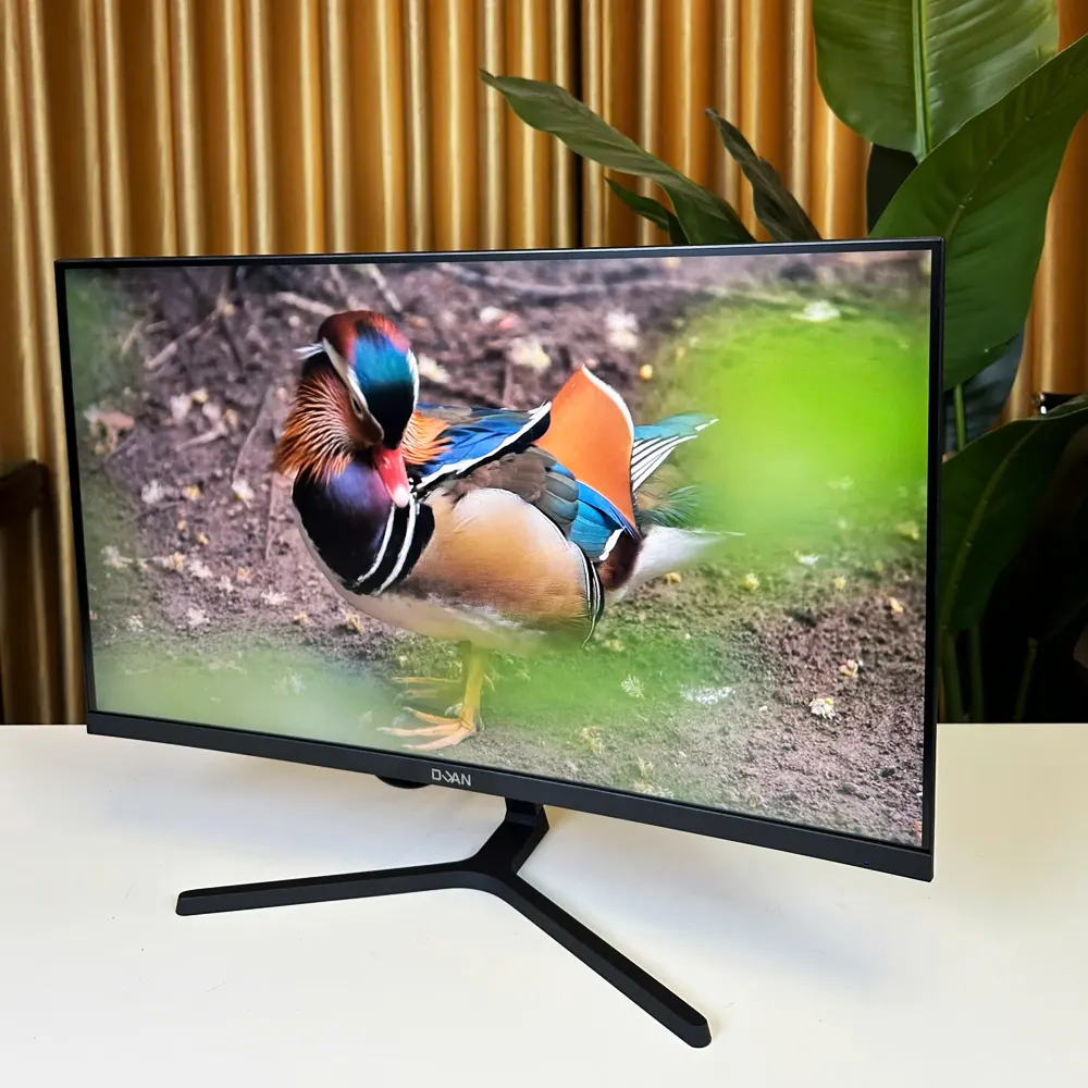 Màn hình Duan DT-IP2409H Black 24 inch Cong (IPS, Full HD, 100Hz, 1ms, HDMI + VGA) 4