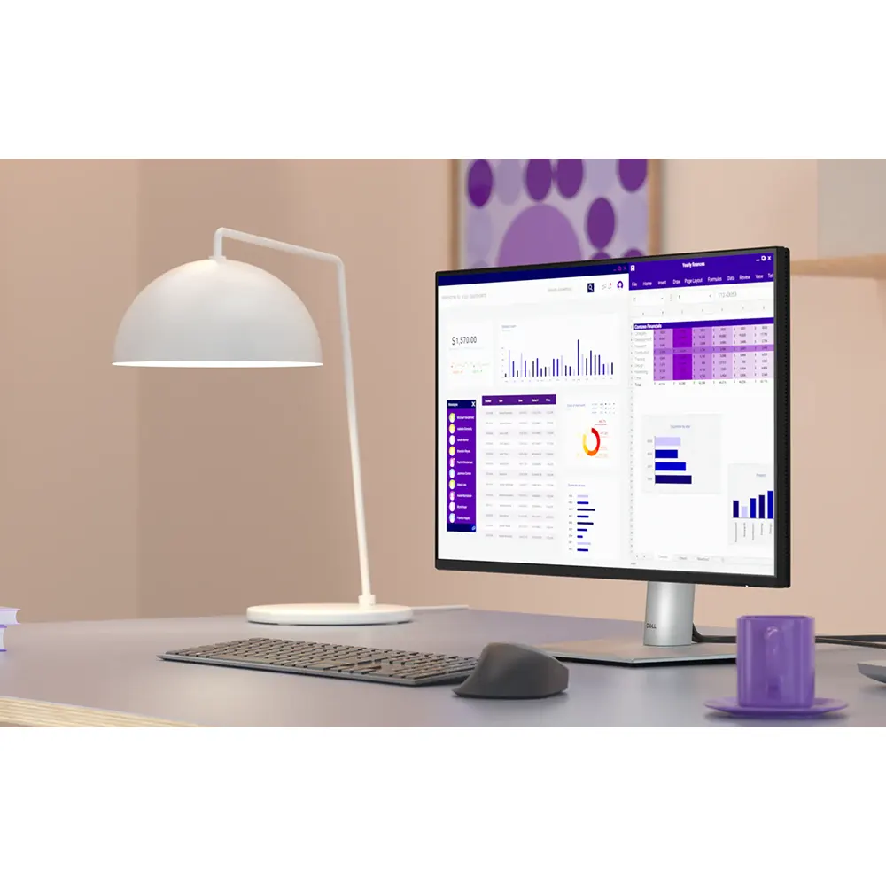Màn hình Dell P2425H 23.8 inch FHD IPS 100Hz USB-C 15W​ 10