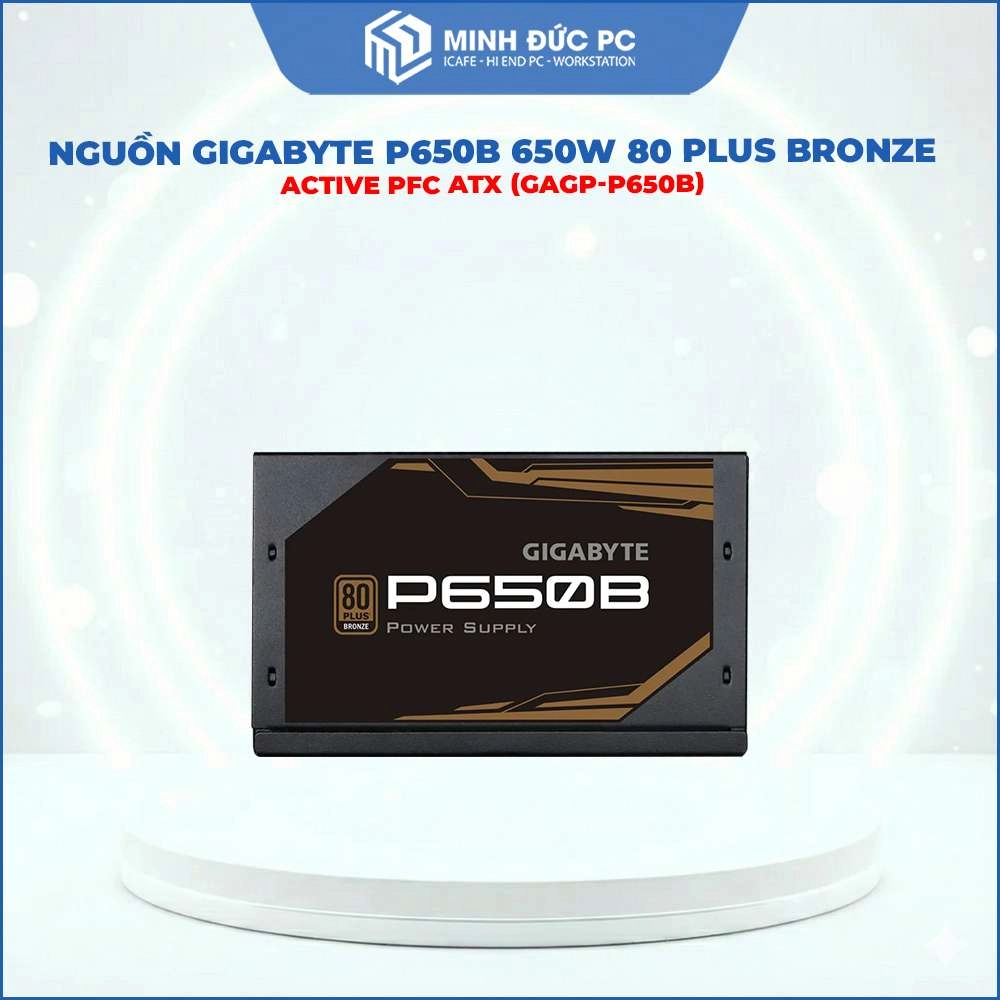 Nguồn Gigabyte P650B 650W 80 Plus Bronze Active PFC ATX (GAGP-P650B) 5