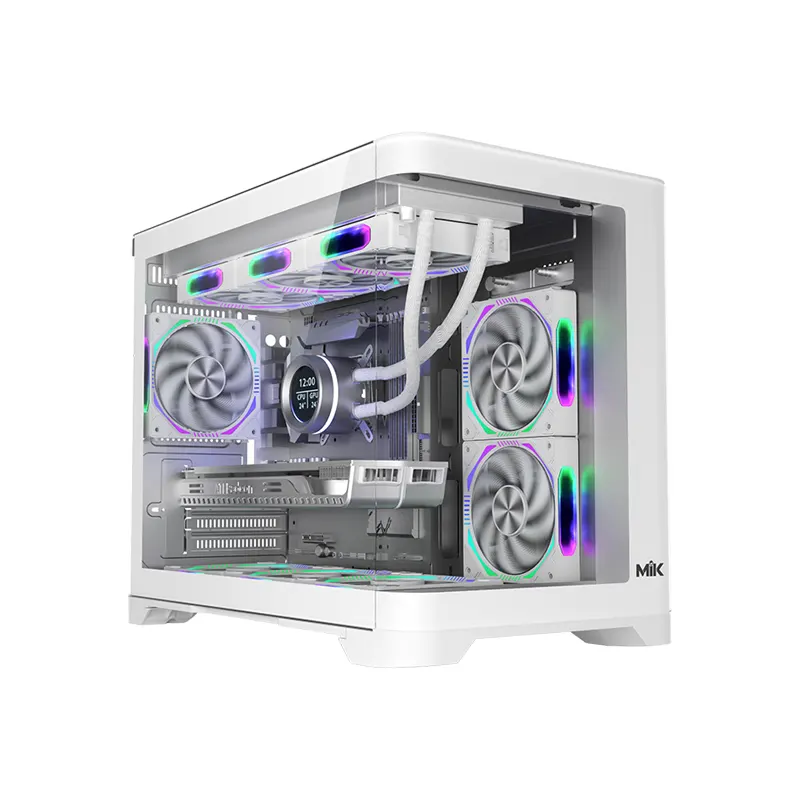 Case