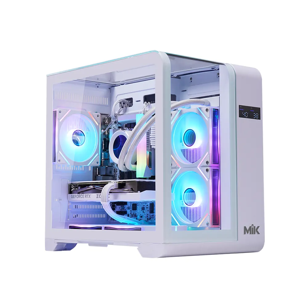 Case