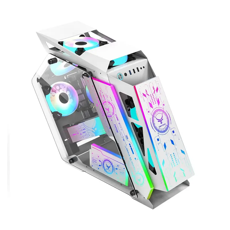 Case