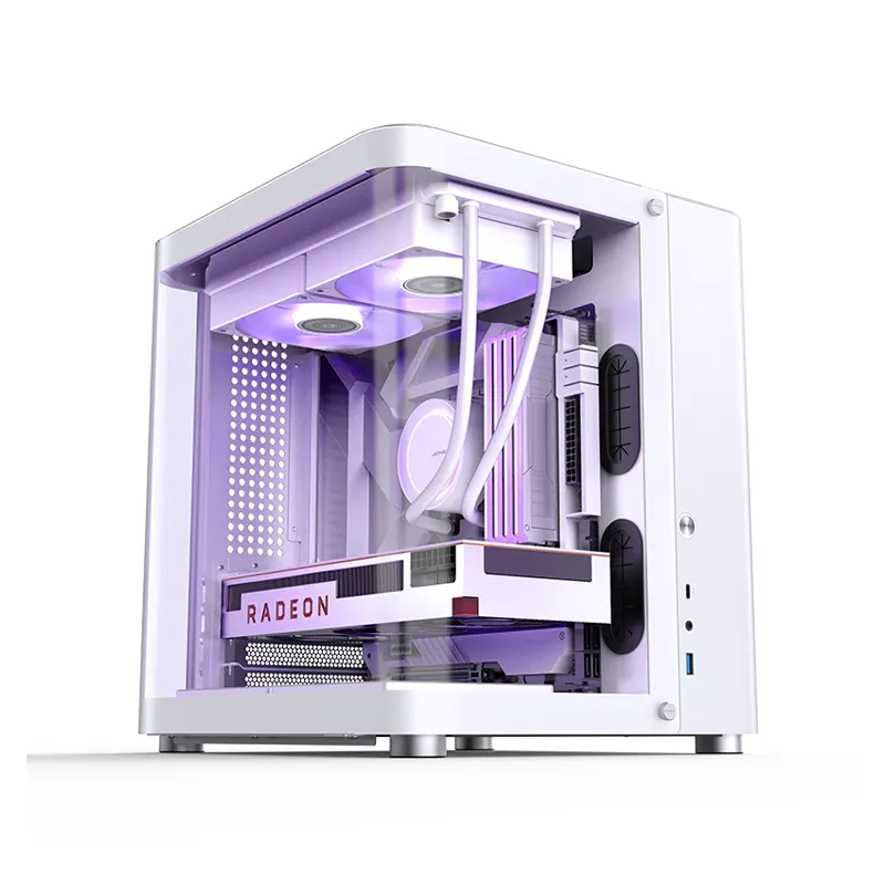 Case