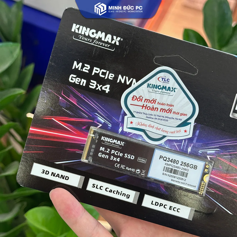 Ổ Cứng SSD Kingmax Zeus PQ3480 256GB M.2 NVMe PCIe Gen 3x4 (Đọc 2250MB/s - Ghi 1200MB/s) 3